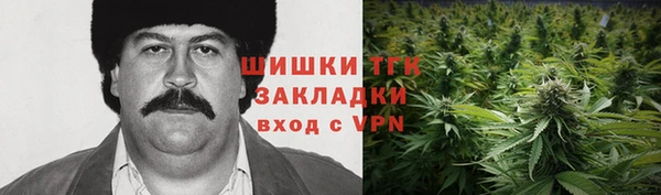 ГАЛЛЮЦИНОГЕННЫЕ ГРИБЫ Белоозёрский