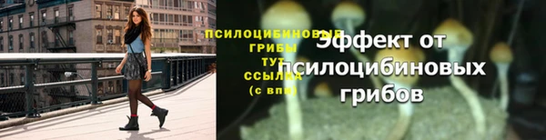 ГАЛЛЮЦИНОГЕННЫЕ ГРИБЫ Белоозёрский