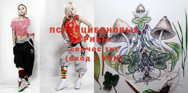 дживик Белокуриха